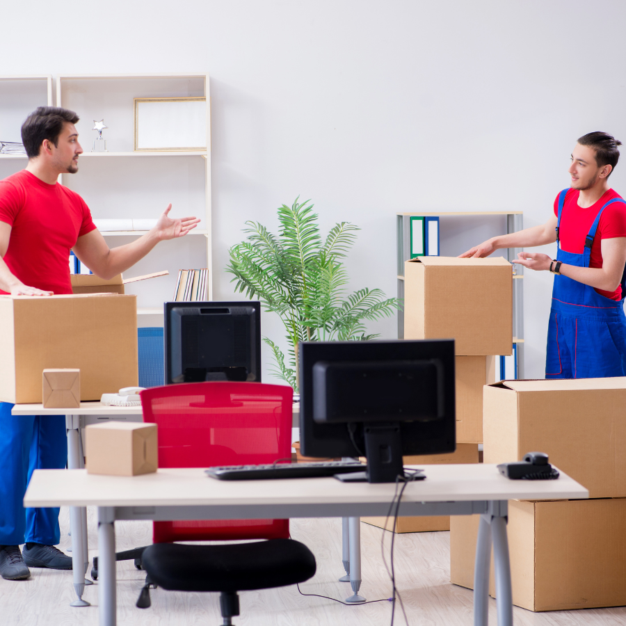 Professional Packing