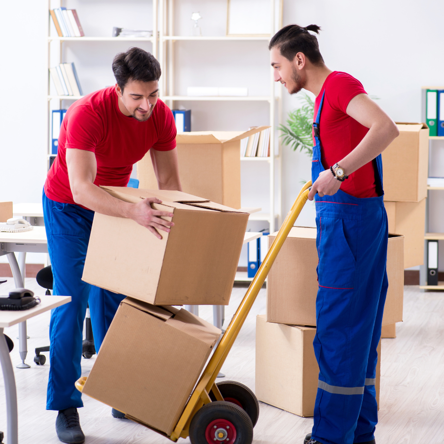 Ankitha Packer's & Mover's